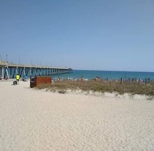 Meet your Posher, Ava